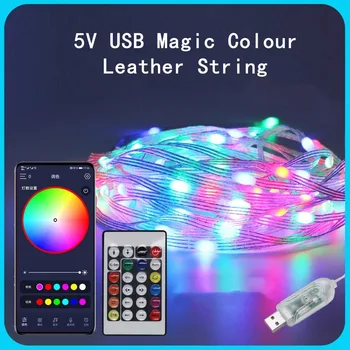 5M 10M 15M 20M 5V LED Magic Color Leather Line Лампа Строка USB Штекер Поддерживает Bluetooth Music Melody Line Лампа Рождественский Набор