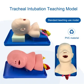 Модель Интубации трахеи новорожденного Аналог Модели экстренной интубации дыхательных путей человека ПВХ Обучающая Модель