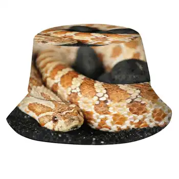 Западные Шляпы Со Змеиным Узором Hognose Outdoor Hat Sun Cap Western Hognose Snake Reptile Sand