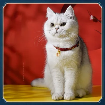 Самый продаваемый кошачий ошейник, прочный Регулируемый ошейник для кошек среднего размера, Персонализированные роскошные колокольчики, Защита от выпадения Collier Chien Pets Product