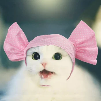 Новый головной убор в стиле кошки в японском и корейском стиле ручной работы ярких цветов, забавные головные уборы для домашних животных, повязка для переодевания и шляпа